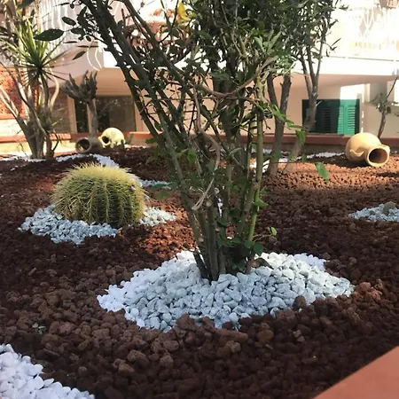 Petronilla Apartment