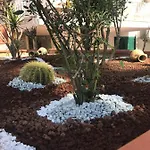 Petronilla Appartement
